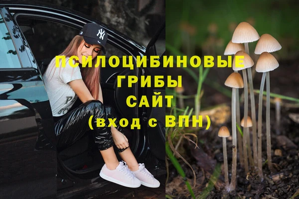 дживик Вуктыл