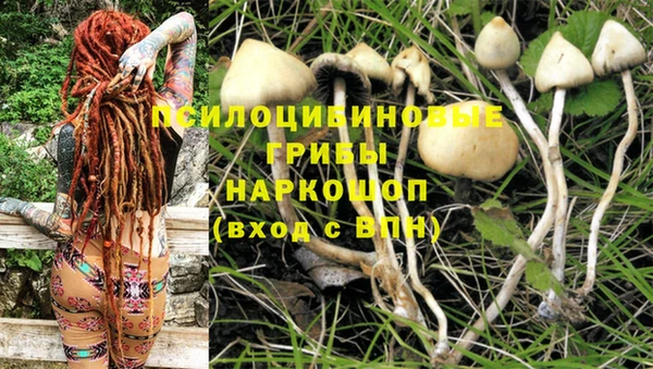 бошки Горнозаводск