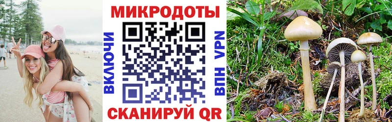 MEGA tor  маркетплейс официальный сайт  Псилоцибиновые грибы GOLDEN TEACHER  Демидов 